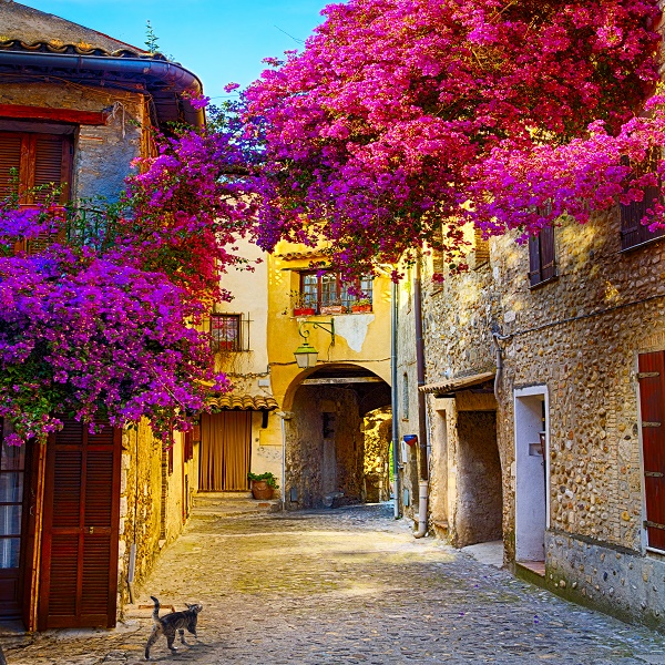 art beautiful old town of Provence